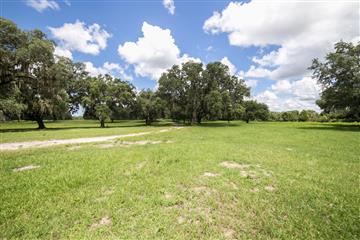 Road on the property of the Ranch and Farm for Sale in Crystal River 